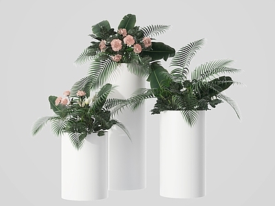 其他绿植 植物 绿植 植物装置 花草 植物摆件