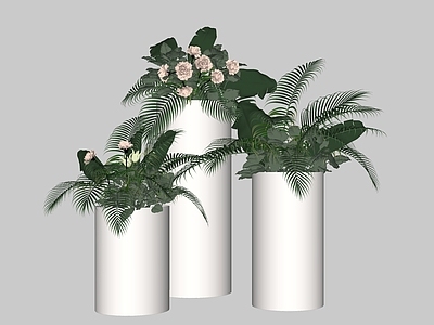 植物组合 植物 绿植 植物摆件 装饰植物