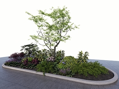 植物组合 现代植物组团 树池 花境植物 树池植物组合 盆栽组合