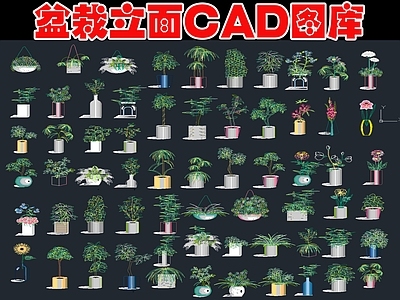 现代树 盆栽立面图库 施工图