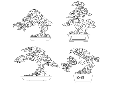 新中式树 造型松造型松盆栽 施工图