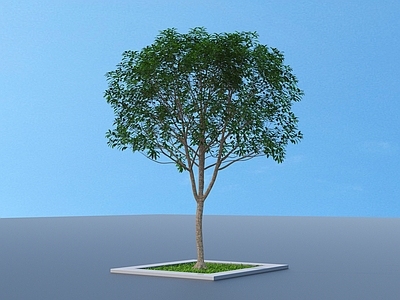 树池 树池 小品