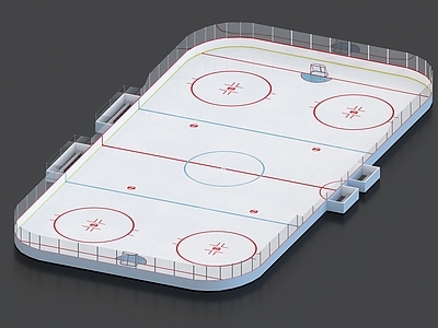 现代其他体育空间 冰壶场 冰球场