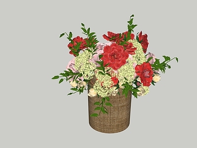 花草 花草 花卉组合