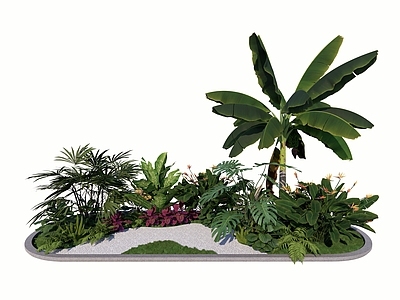 植物组合 树池植物组合 阔叶植物 大叶植物 热带植物 植物花境