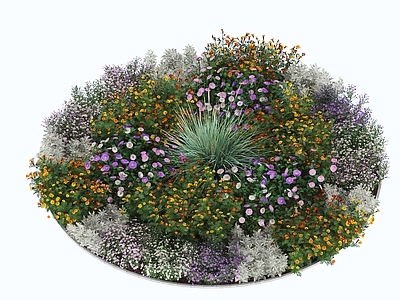 花草组合 花草