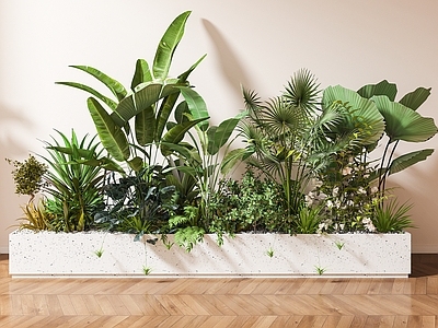 植物组合 室内堆 庭院 花草