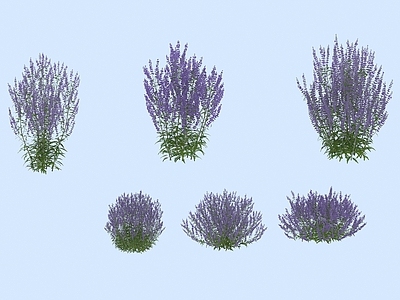 花草组合 花草