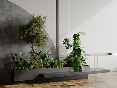 植物组合 植物景观 植物堆 植物组合 树池