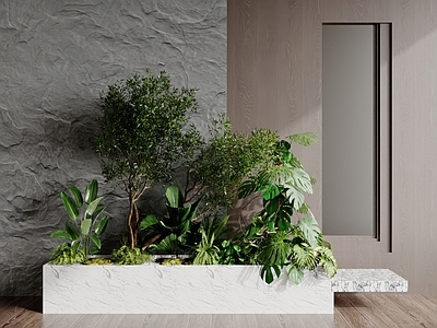 植物组合 植物景观 植物堆 植物组合 树池
