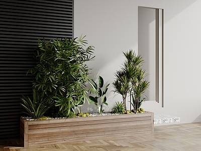 植物组合 植物景观 植物堆 植物组合 树池