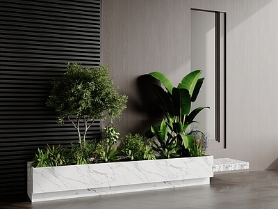 植物组合 植物景观 植物堆 植物组合 树池