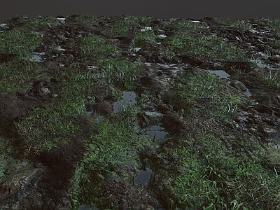 草 写实湿地 泥泞 地形 草地 草坪 植物 蒲公英 水坑 PBR