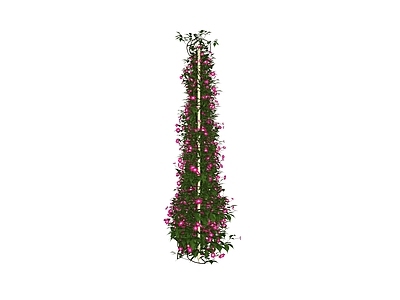 藤蔓 花架藤蔓 吊篮藤蔓 廊架藤蔓 盆栽藤蔓 花墙藤蔓
