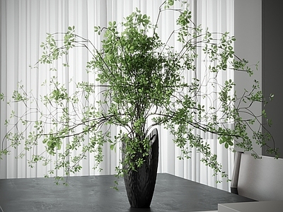 盆栽 现代花瓶植物 花瓶