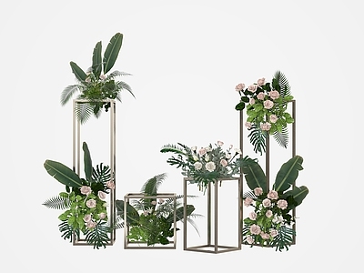 其他绿植 植物组合 植物装置 花草 植物架