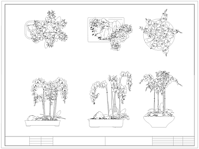 现代综合植物图库 蝴蝶兰 盆栽盆景 绿植 施工图