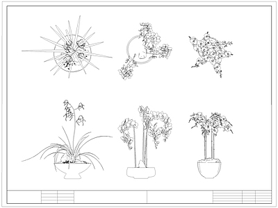 现代综合植物图库 蝴蝶兰 盆栽盆景 绿植 施工图