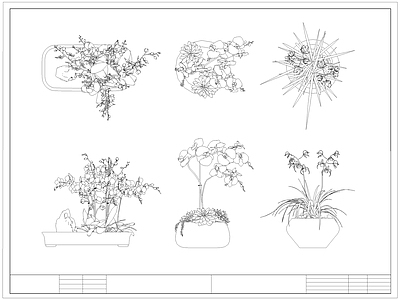 现代综合植物图库 蝴蝶兰 盆栽盆景 绿植 施工图