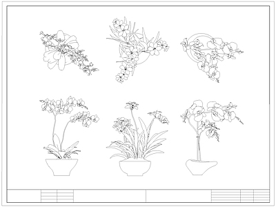 现代综合植物图库 蝴蝶兰 盆栽盆景 绿植 施工图