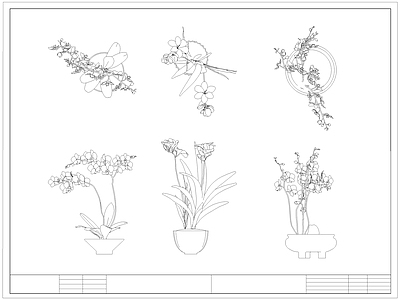 现代综合植物图库 蝴蝶兰 盆栽盆景 绿植 施工图