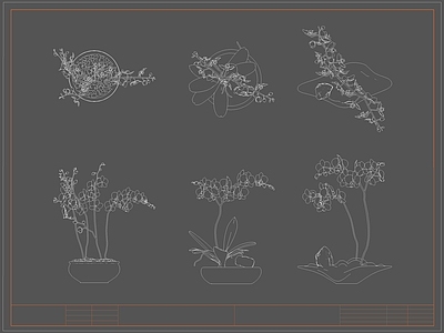 现代综合植物图库 蝴蝶兰 盆栽盆景 绿植 施工图