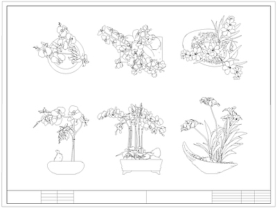 现代综合植物图库 蝴蝶兰 盆栽盆景 绿植 施工图