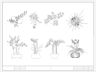 现代综合植物图库 蝴蝶兰 盆栽盆景 绿植 施工图