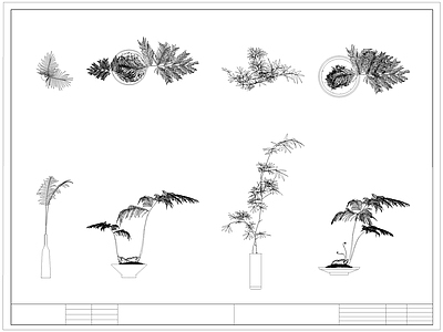 中式花 中式瓶 蕨类植物 瓶 卉 盆栽盆景 施工图
