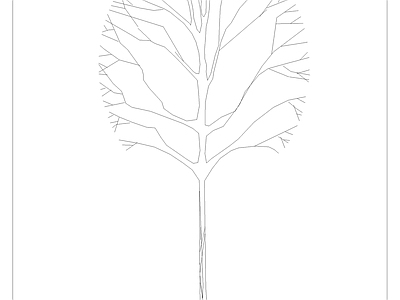现代综合植物图库 金合欢 立  施工图