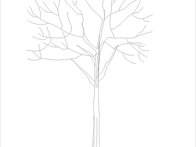 现代综合植物图库 榉 立 施工图