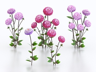 花草组合 花草 花朵 野花 绣球花