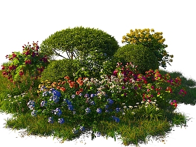 花草组合 花草丛