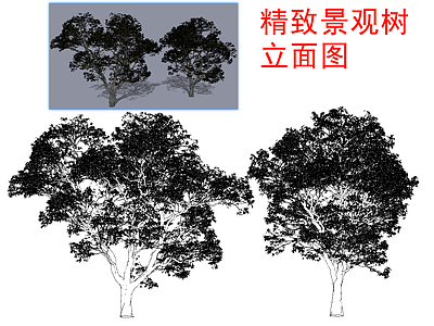 现代新中式树 绿植 木 施工图