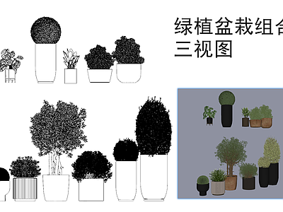 现代新中式综合植物图库 绿植 盆栽 盆 施工图