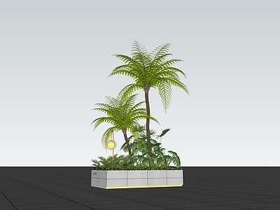 植物组合 树池植物组合 热带植物 植物组合 网红植物 植物灯