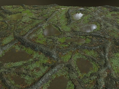 其他绿植 写实湿地 泥泞 地形 草地 草坪 植物 水坑 PBR