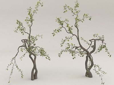 其他绿植 植物 绿植 树枝