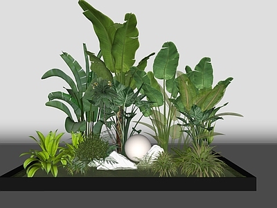 植物组合 组合 树池组合