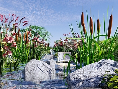 现代滨水景观 现代生态河流公园 自然湿地公园 溪流河流 水生植物 雨水花园