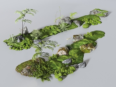 植物组合 苔藓植物组合 蕨类植物 植物堆 苔藓 青藤