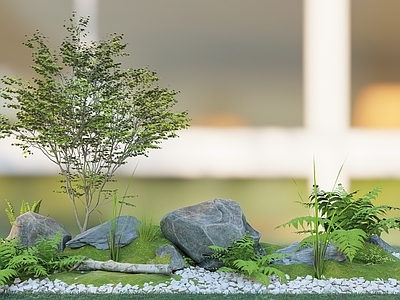 植物组合 蕨类 树 树池组合 庭院