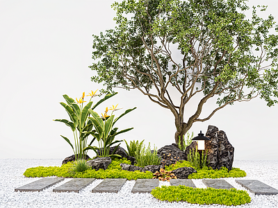现代植物组合 现代热带 造型树 庭院碎石 花草地被组合
