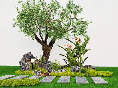 植物组合 组团 园林造景 造型树 花草组合