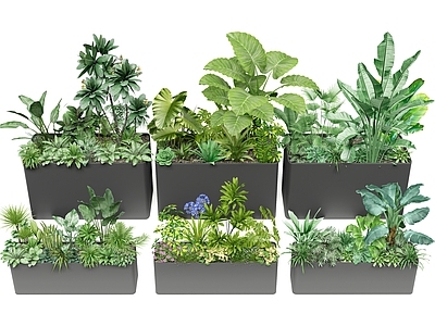 植物组合 移动花箱 植物组合 植物箱 植物组团 庭院植物