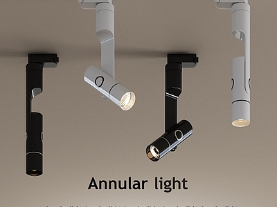 现代筒灯射灯组合 现代筒灯 转向 轨道灯