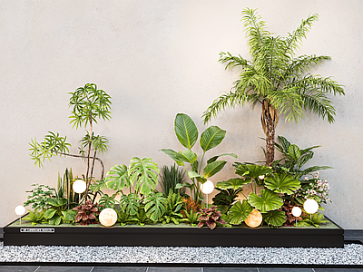 植物组合 现代室内组合 堆 花镜 庭院小品 造景 花草