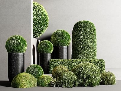 盆栽 苔藓盆栽 苔藓球 绿植球 现代苔藓 绿植盆栽