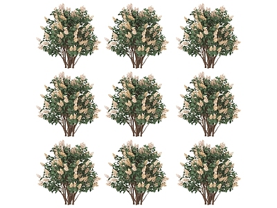 其他绿植 绿色植物 树 大树