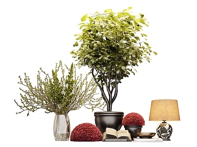 其他绿植 树 花瓶 苔藓 摆件